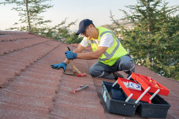 Gutter Installation and Roofing in Irvington, KY